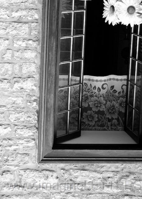 Wall_Art_Alphabet_Photography_Art_ 1220.jpg